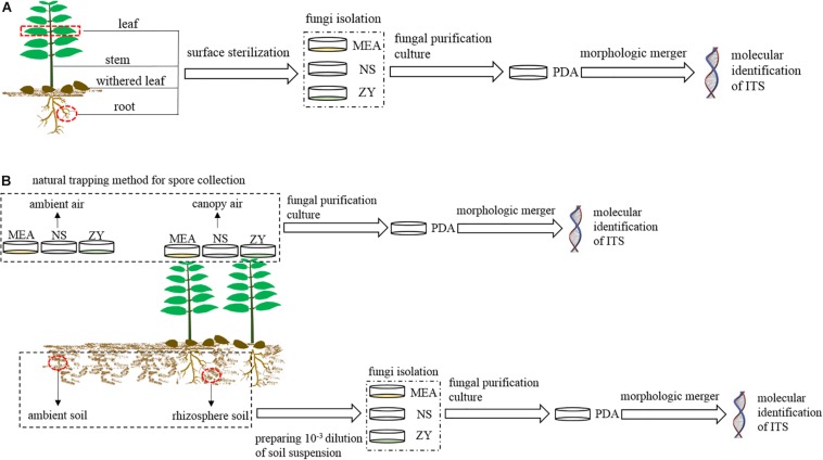 FIGURE 2