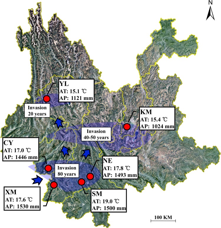 FIGURE 1