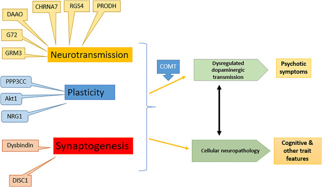 FIGURE 1