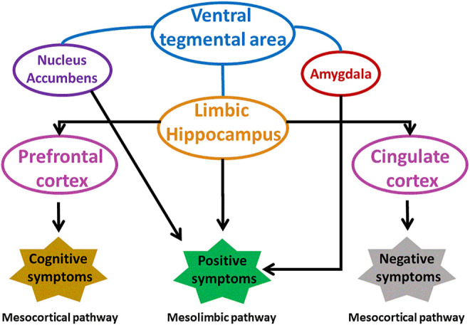 FIGURE 3