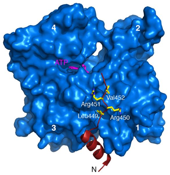 Figure 2