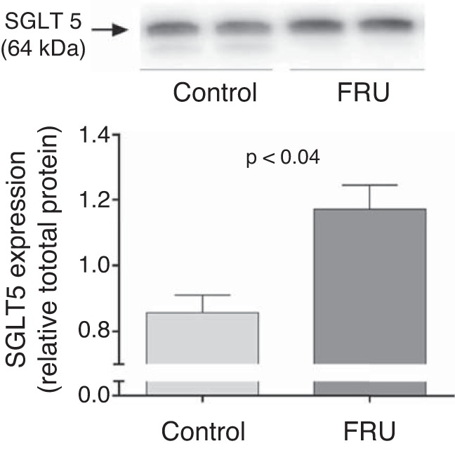 Fig. 8.