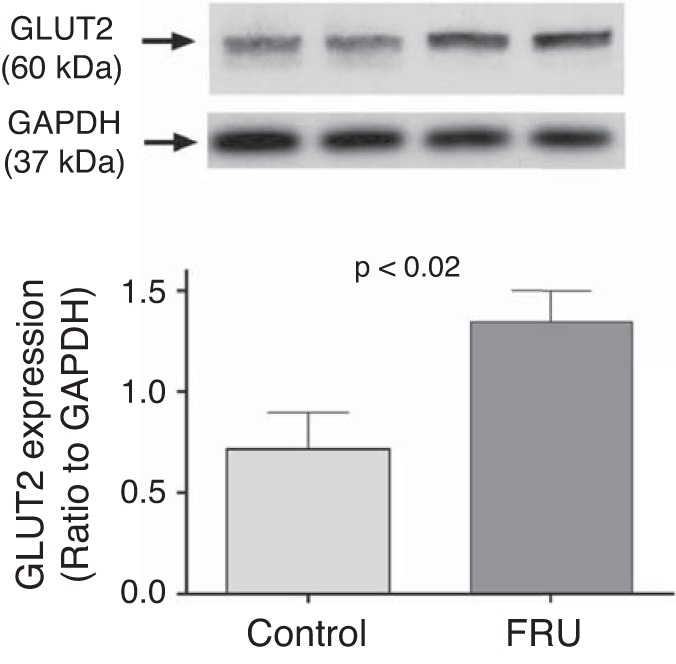 Fig. 9.