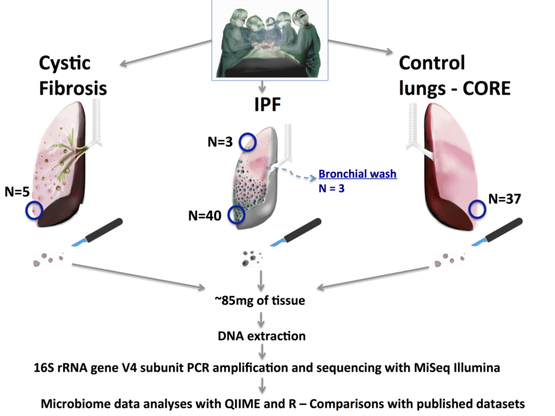 Figure 1: