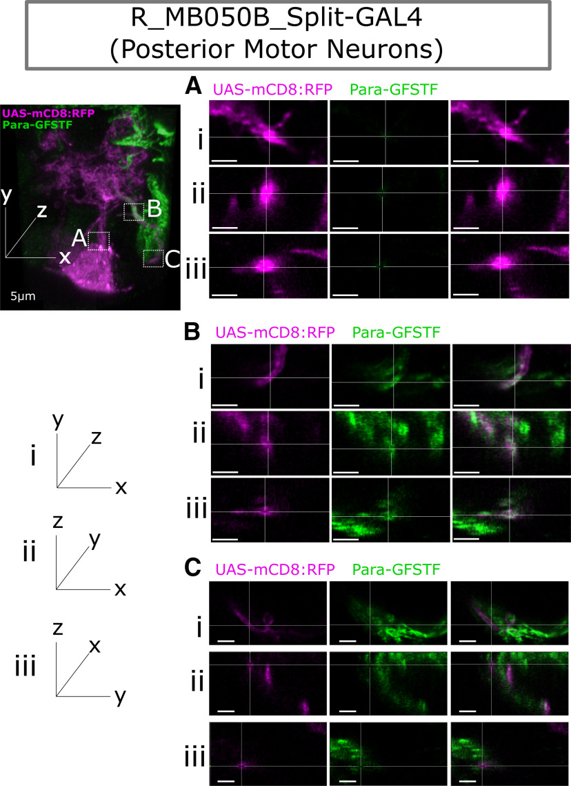 Figure 11.