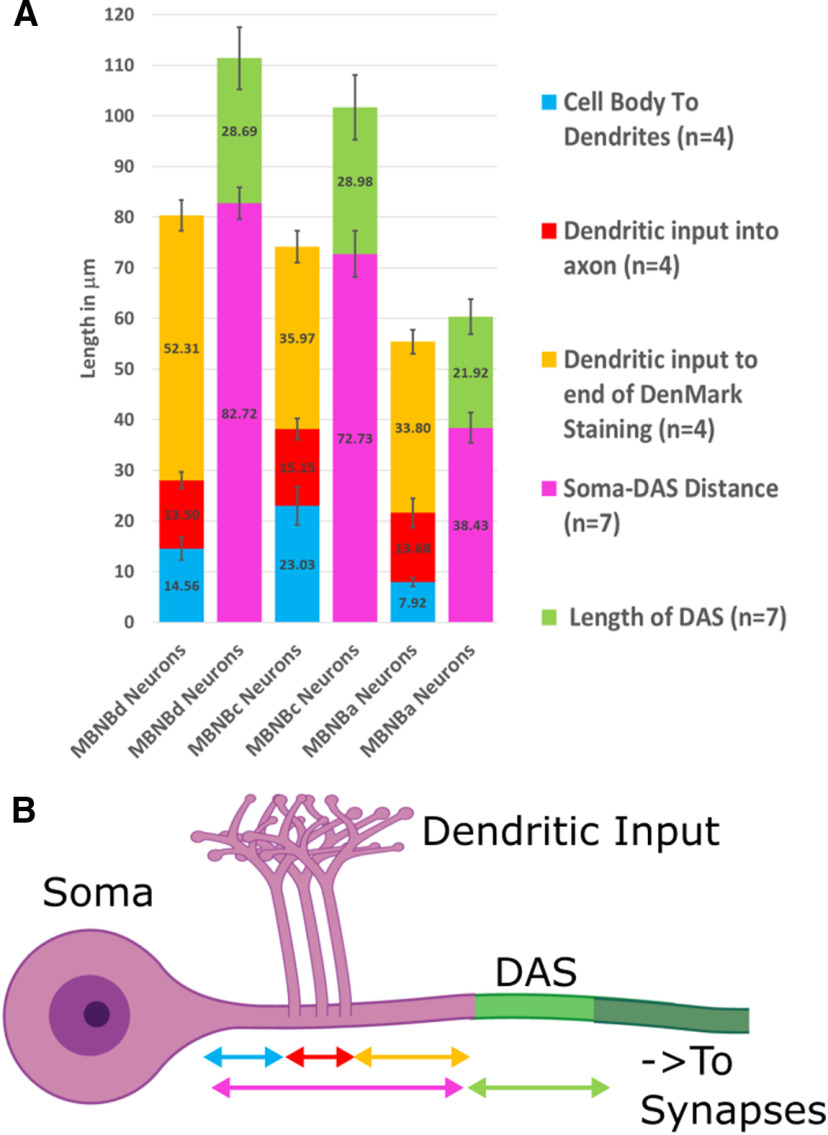 Figure 14.