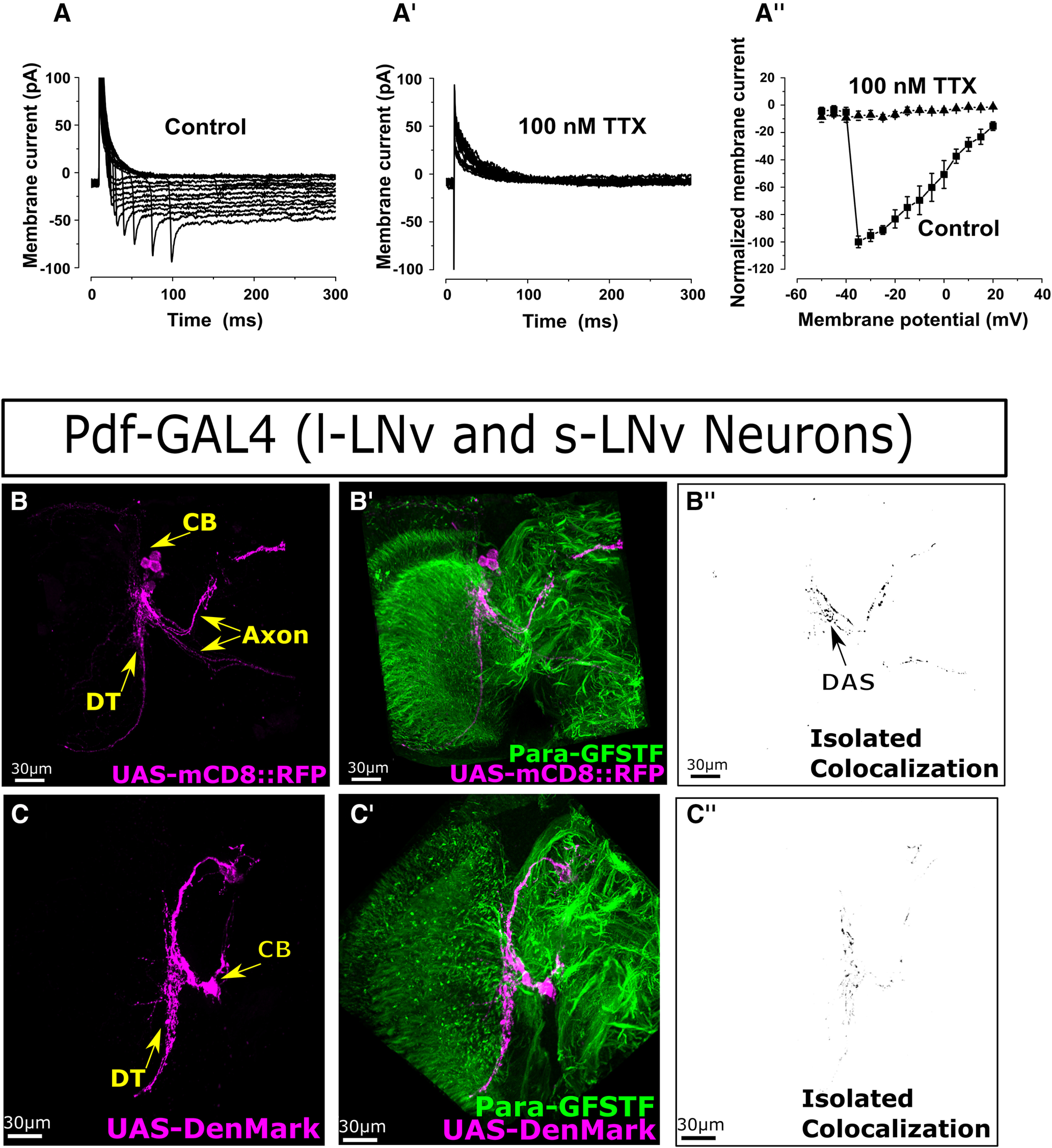 Figure 15.