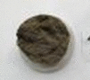 graphic file with name 41598_2020_78170_Figt_HTML.gif