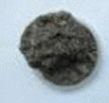 graphic file with name 41598_2020_78170_Figq_HTML.gif