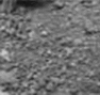graphic file with name 41598_2020_78170_Figk_HTML.gif