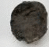 graphic file with name 41598_2020_78170_Figb_HTML.gif