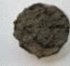 graphic file with name 41598_2020_78170_Fign_HTML.gif