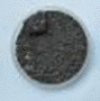 graphic file with name 41598_2020_78170_Figo_HTML.gif