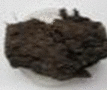 graphic file with name 41598_2020_78170_Figp_HTML.gif