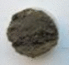 graphic file with name 41598_2020_78170_Fige_HTML.gif
