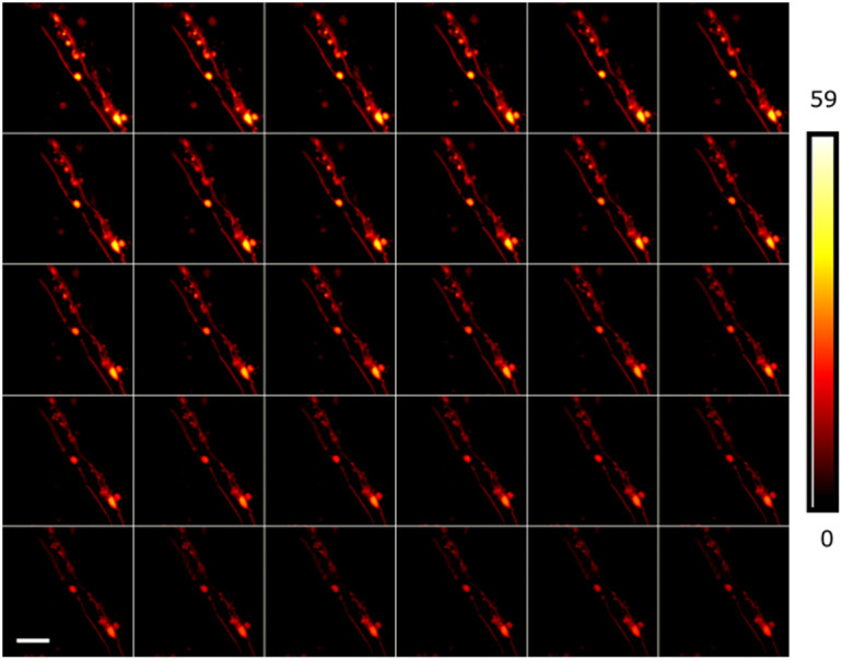 Fig. 7