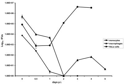 FIG. 1.