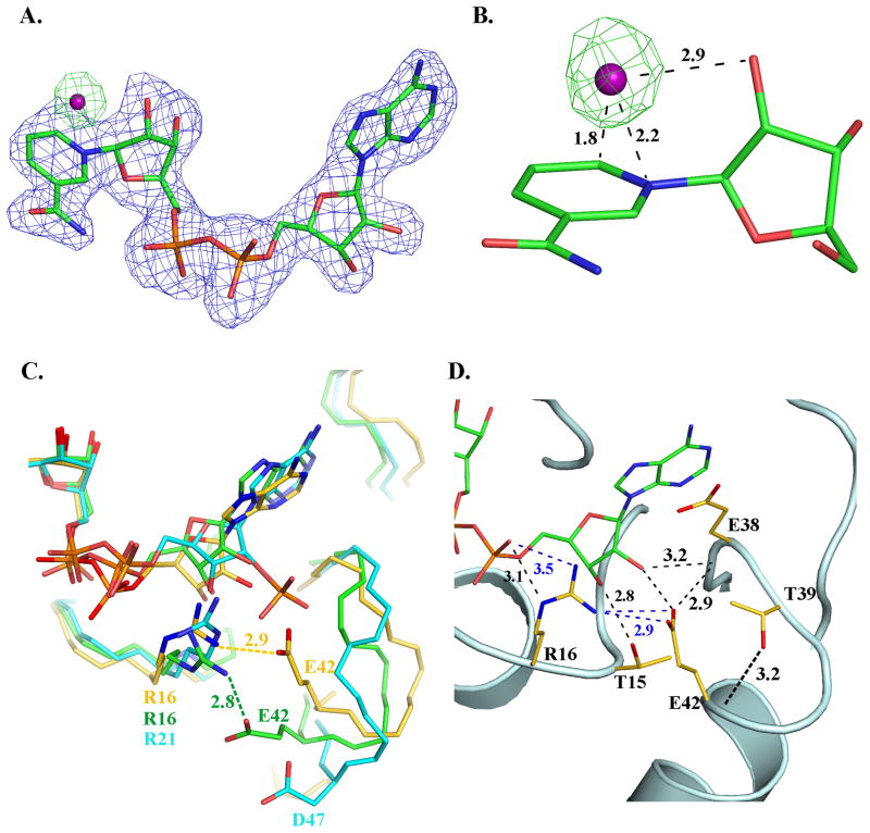 FIGURE 4