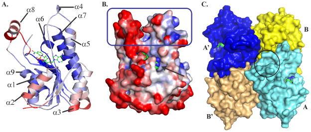 FIGURE 3