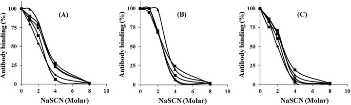 FIG 2