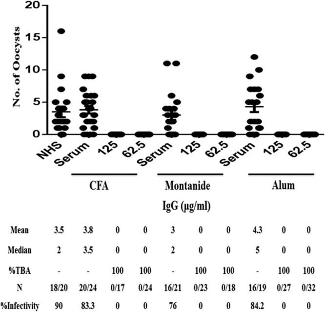 FIG 6