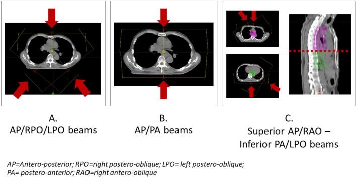 Supplementary figure 1