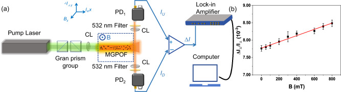 Fig. 3