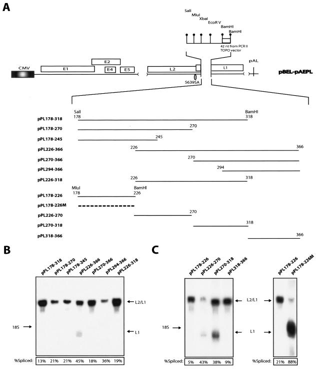 FIG. 5.