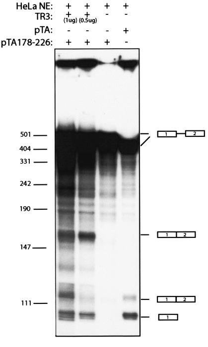 FIG. 9.