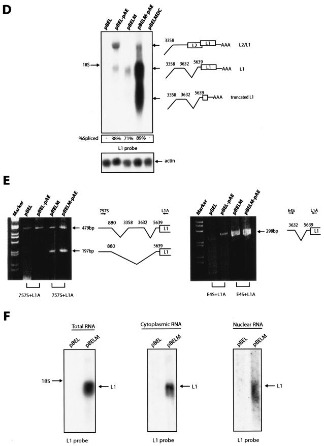 FIG.2.