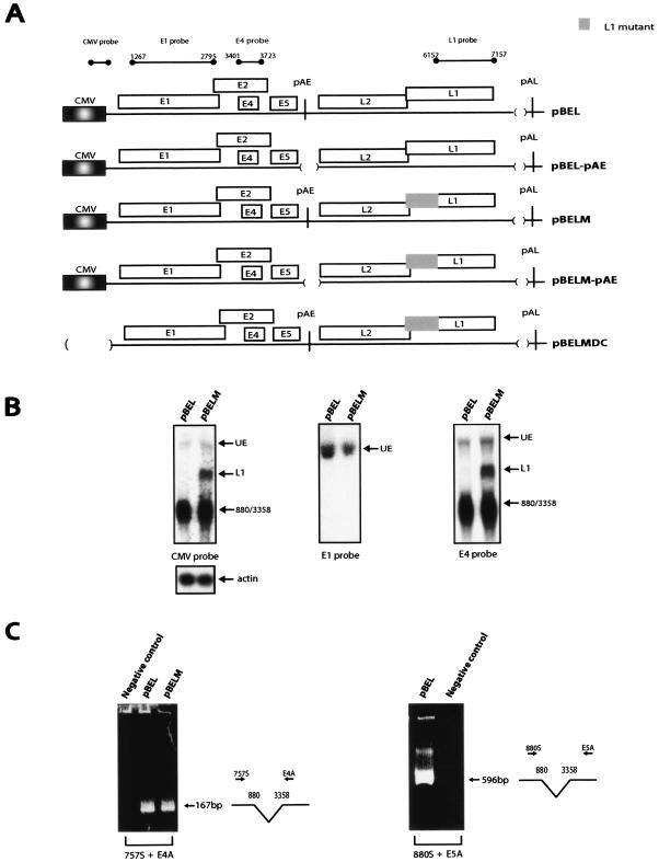 FIG.2.