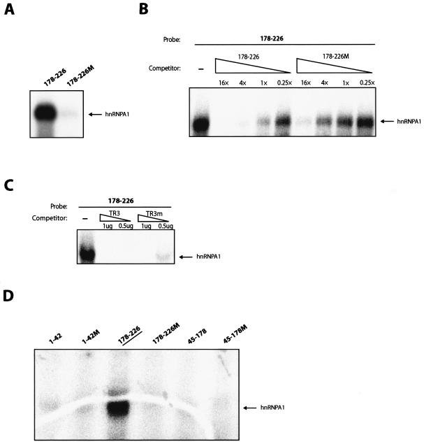 FIG. 8.