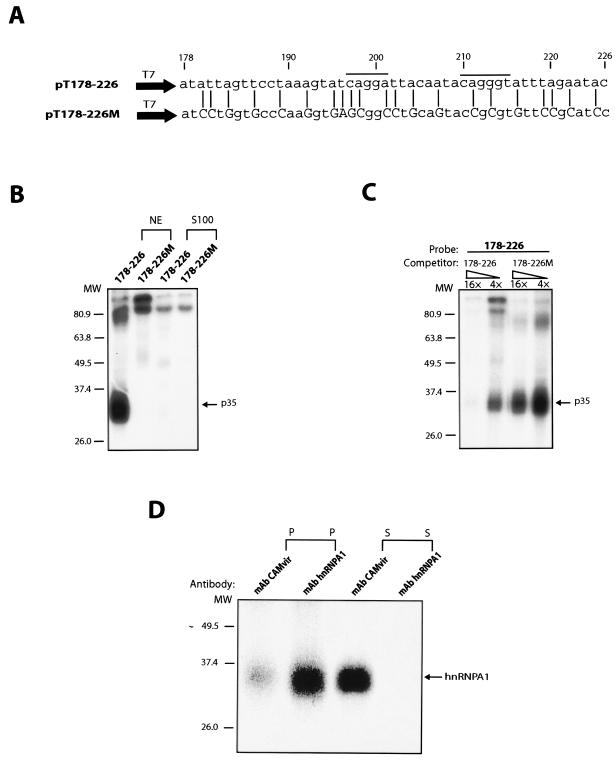 FIG. 7.