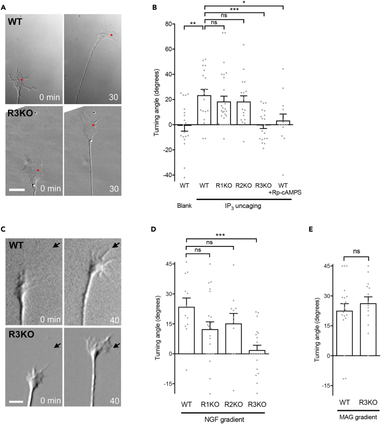 Figure 1