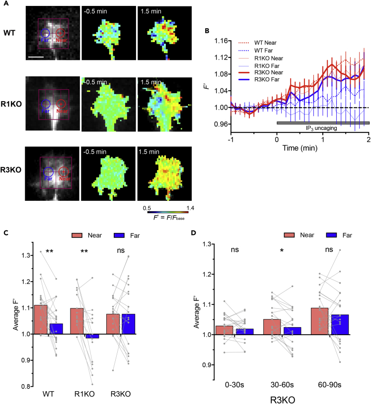 Figure 2