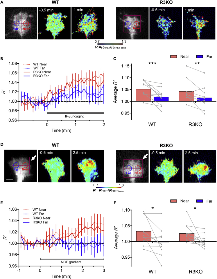 Figure 4