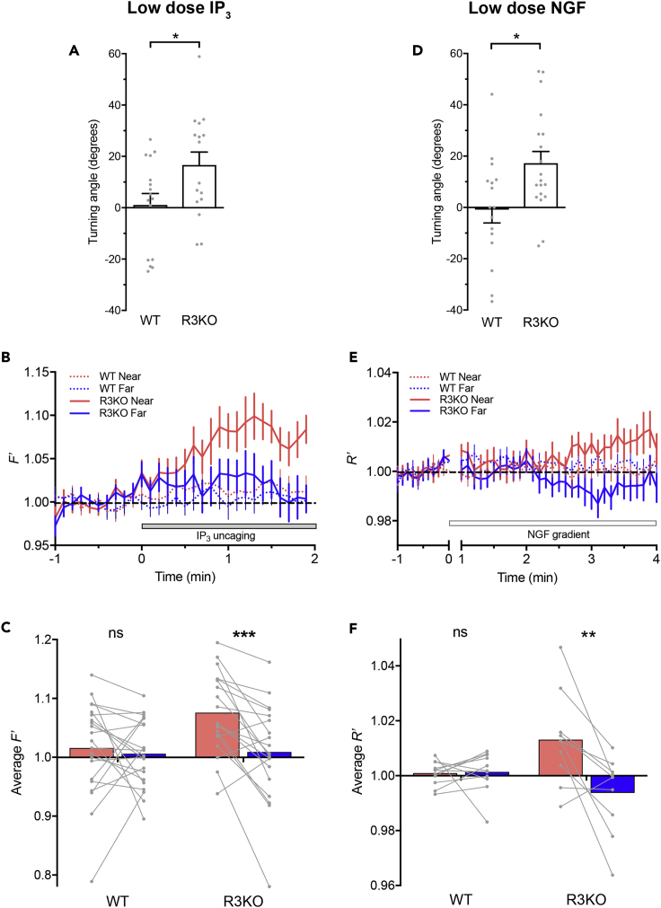 Figure 5