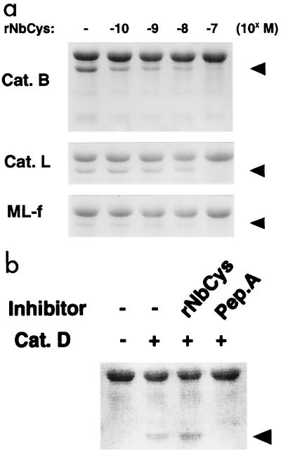 FIG. 6