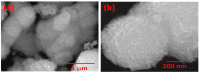 Figure 16
