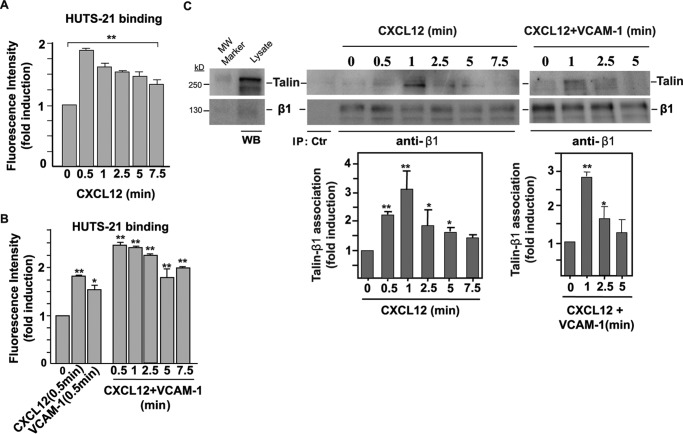 FIGURE 6.