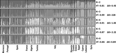 Fig. 1