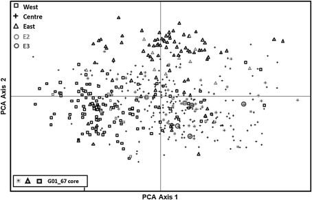 Fig. 3