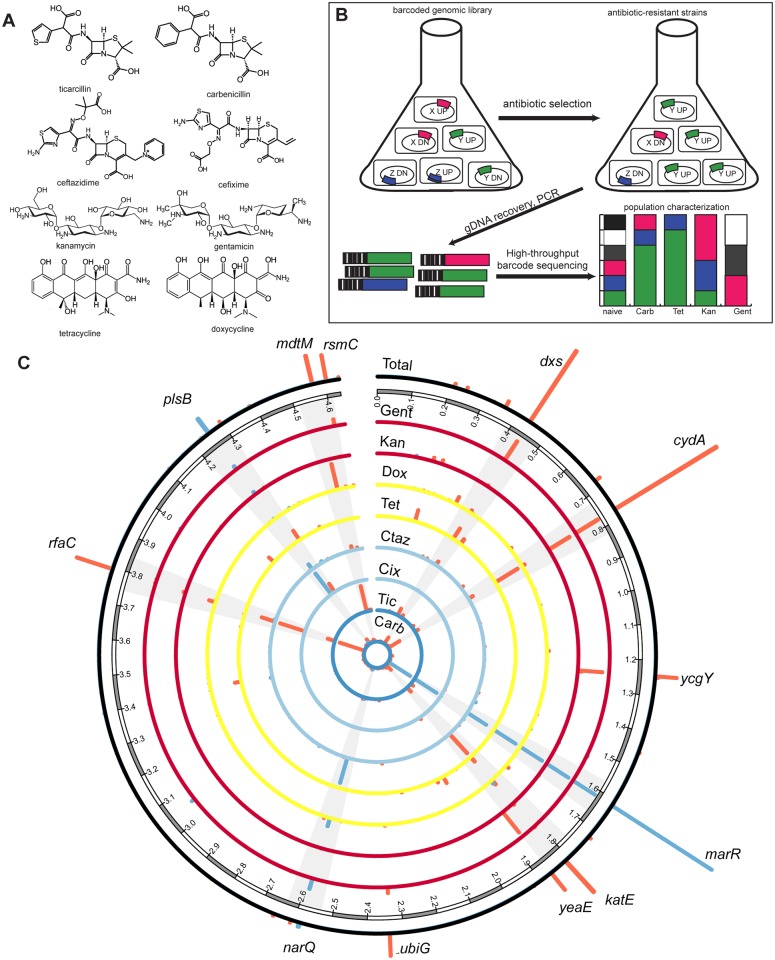 Fig 1