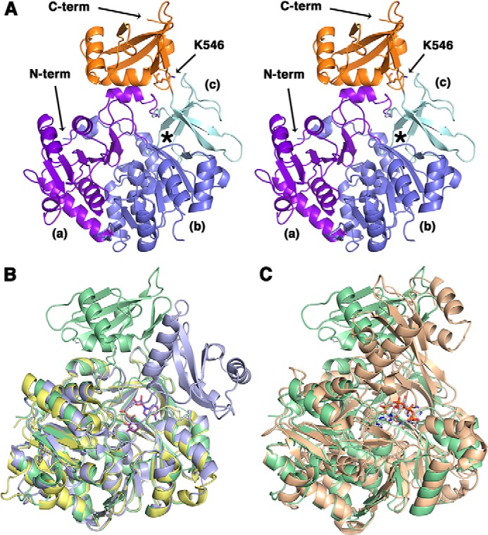 FIGURE 5.