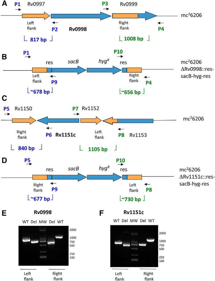 FIGURE 6.