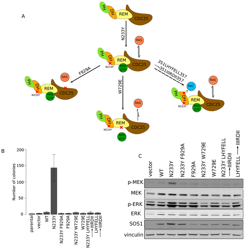 Figure 4: