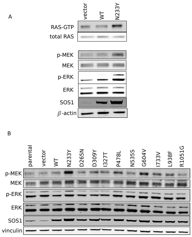 Figure 2: