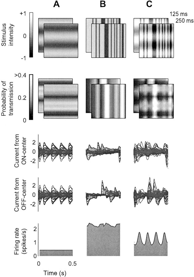 Fig. 9.