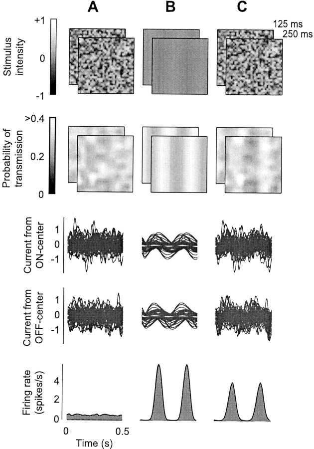 Fig. 8.