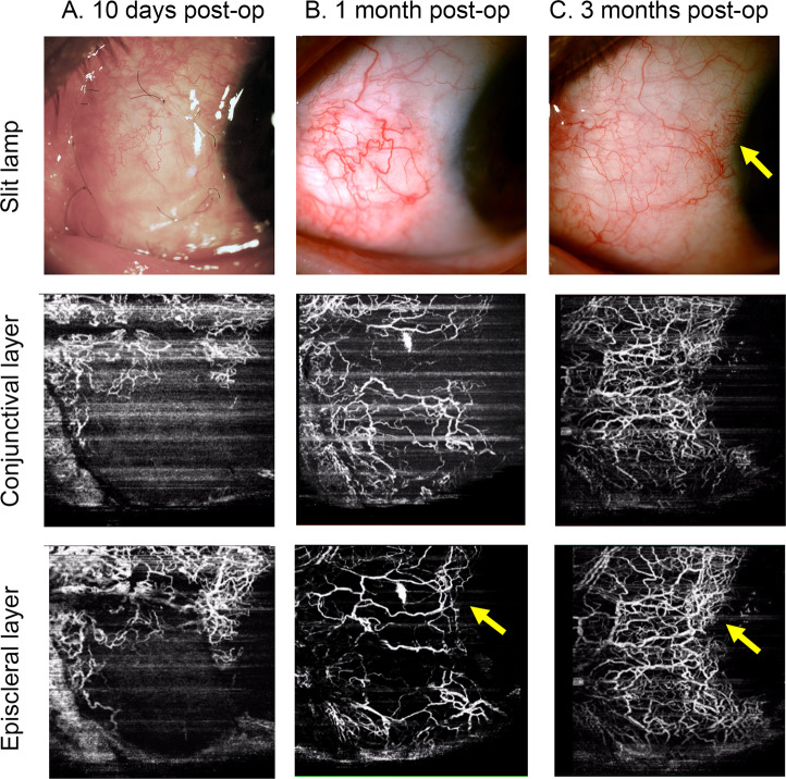 Fig. 4